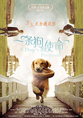 黑丝美女被x